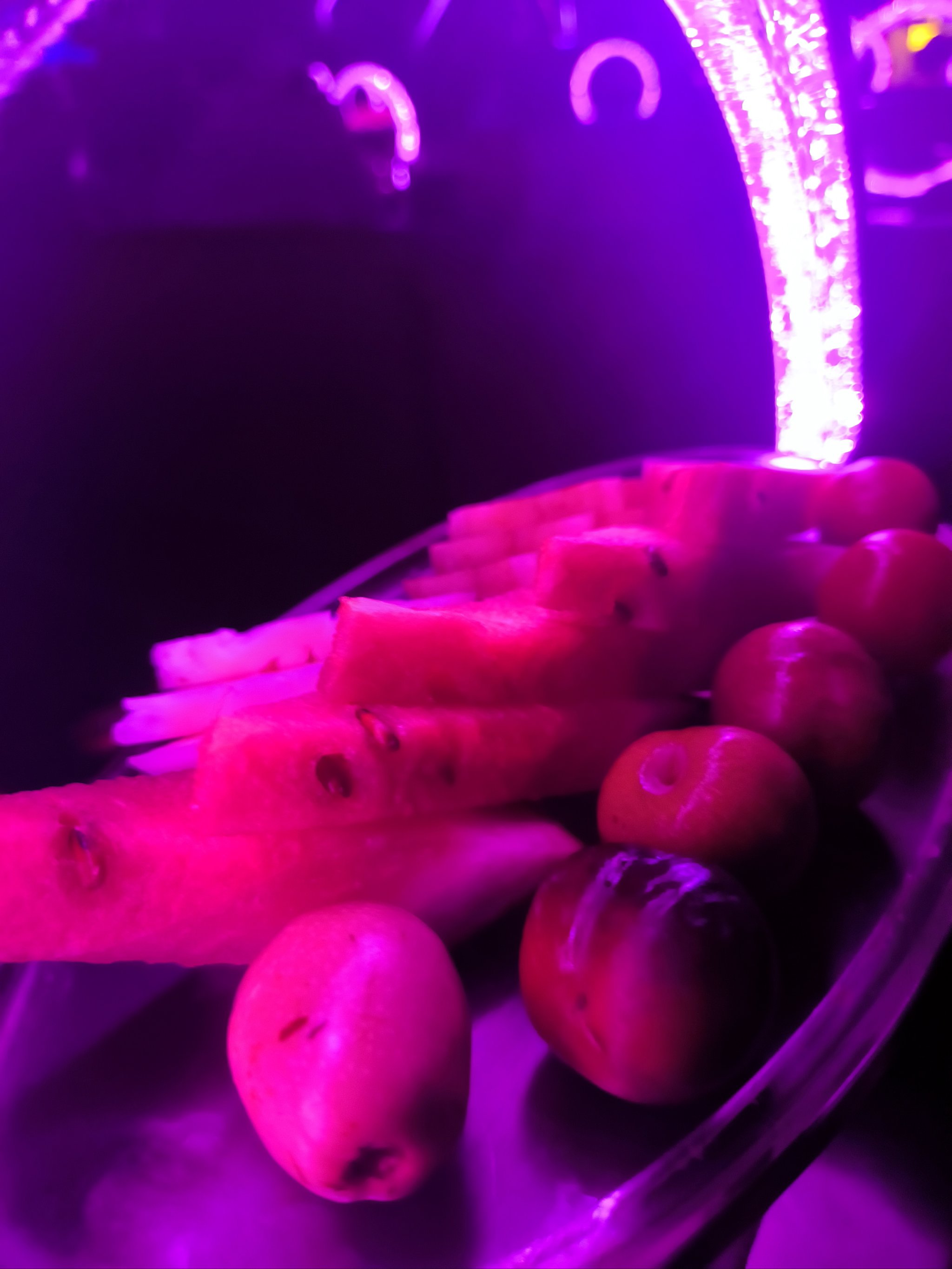 保定商务ktv推荐单人商务ktv体验-容城县ktv预订